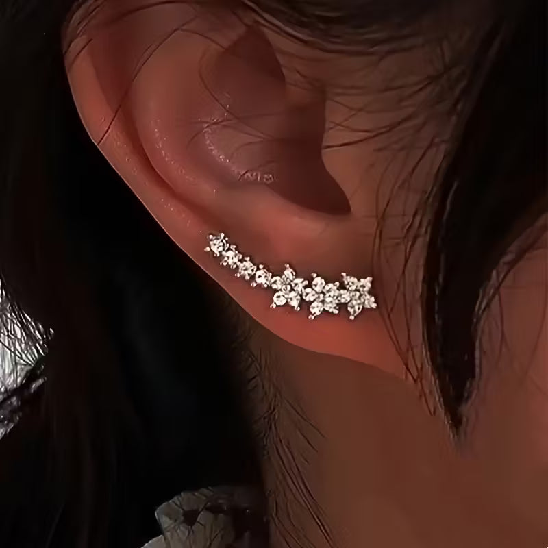 Elegant Luxury Earrings