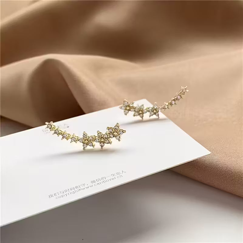 Elegant Luxury Earrings